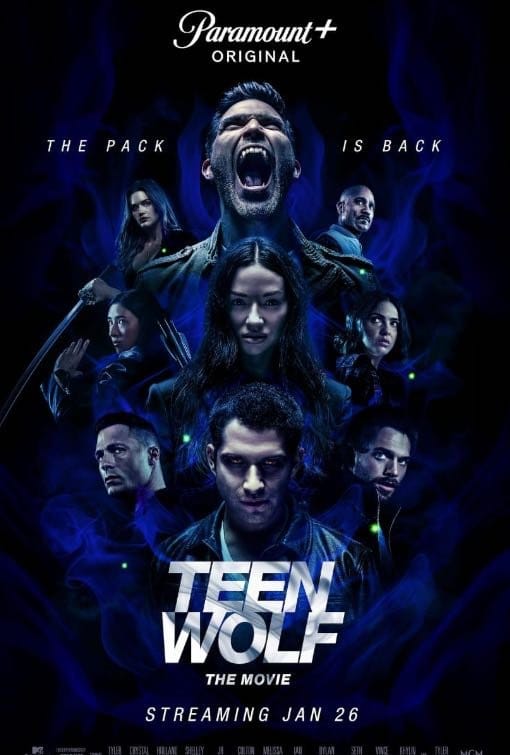 premium iptv playlist